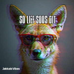 So Lief Soos Dit â€” cover art